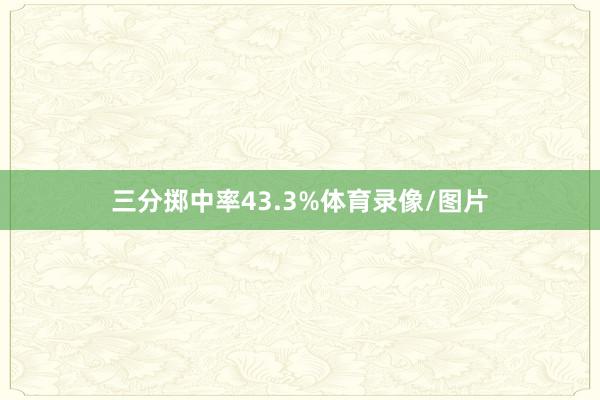 三分掷中率43.3%体育录像/图片