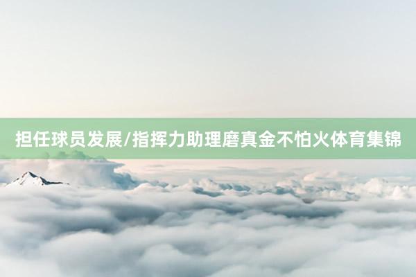 担任球员发展/指挥力助理磨真金不怕火体育集锦