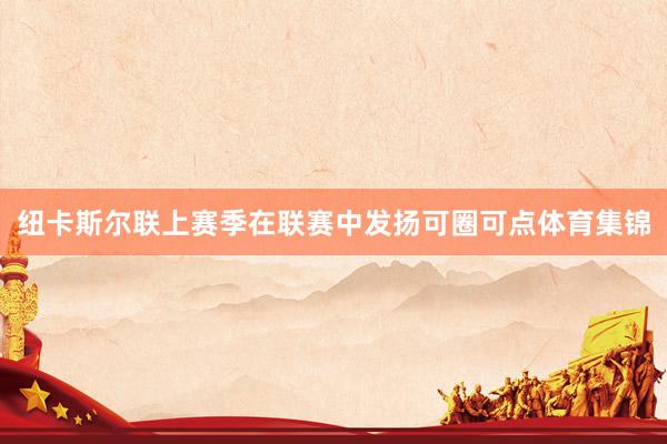 纽卡斯尔联上赛季在联赛中发扬可圈可点体育集锦