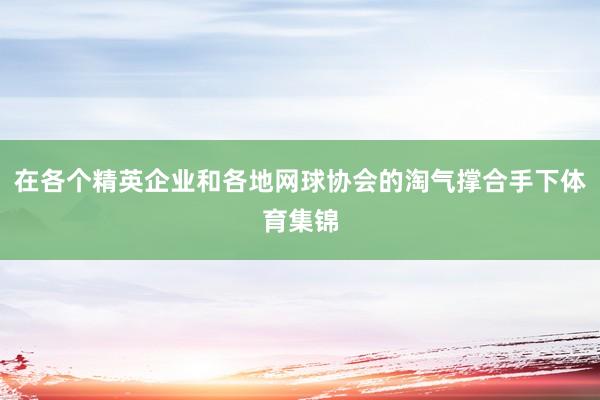 在各个精英企业和各地网球协会的淘气撑合手下体育集锦