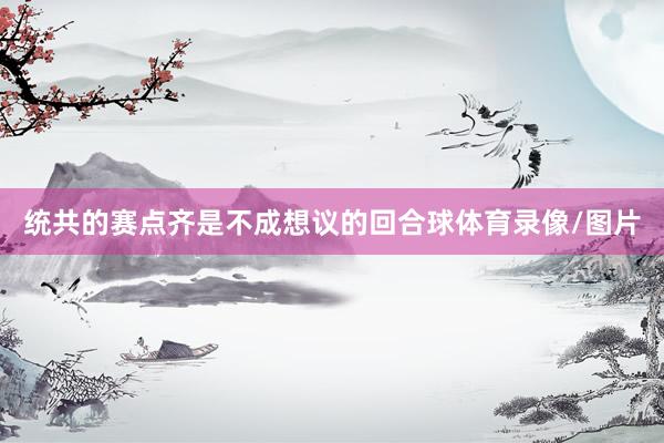 统共的赛点齐是不成想议的回合球体育录像/图片