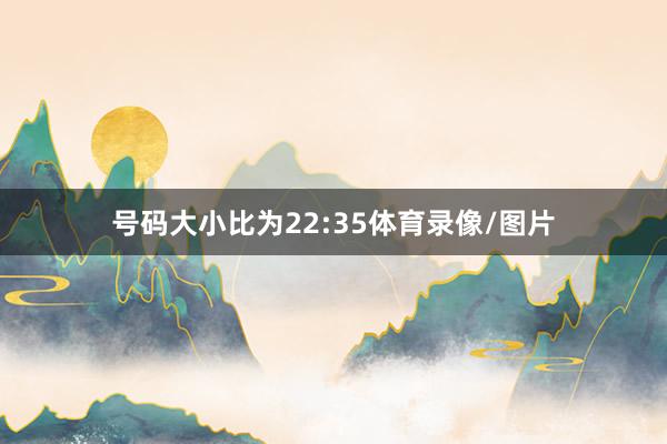 号码大小比为22:35体育录像/图片