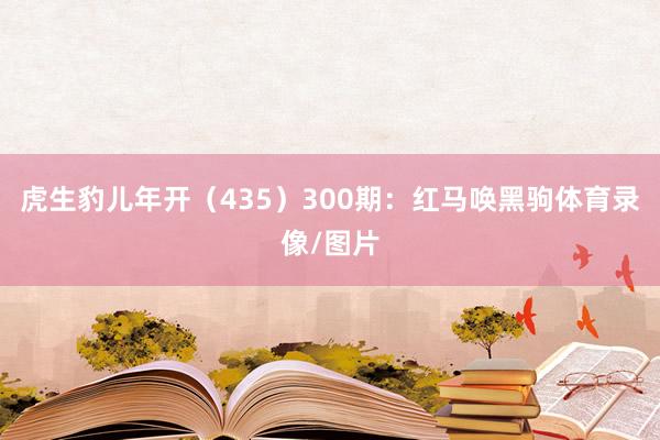 虎生豹儿年开（435）　　300期：红马唤黑驹体育录像/图片