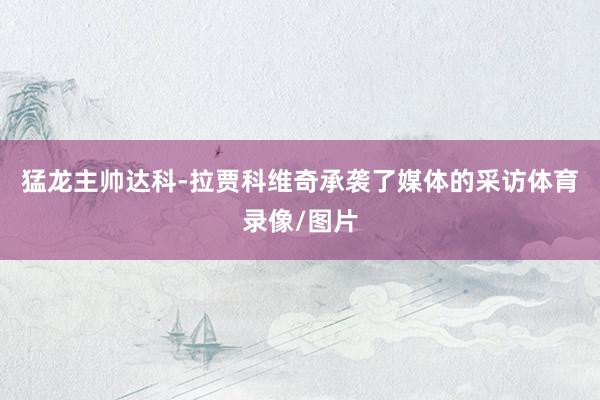 猛龙主帅达科-拉贾科维奇承袭了媒体的采访体育录像/图片