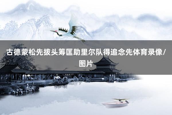 古德蒙松先拔头筹匡助里尔队得追念先体育录像/图片