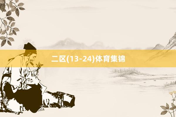 二区(13-24)体育集锦