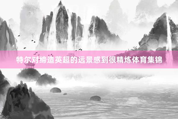 特尔对缔造英超的远景感到很精炼体育集锦