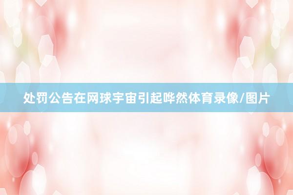 处罚公告在网球宇宙引起哗然体育录像/图片