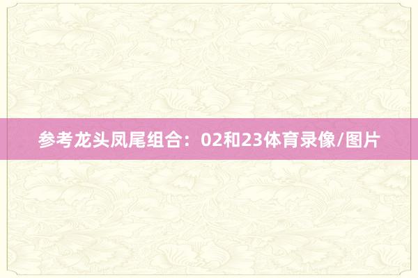 参考龙头凤尾组合：02和23体育录像/图片