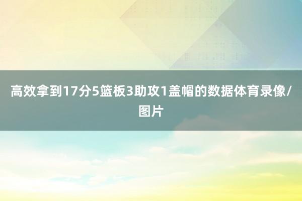 高效拿到17分5篮板3助攻1盖帽的数据体育录像/图片