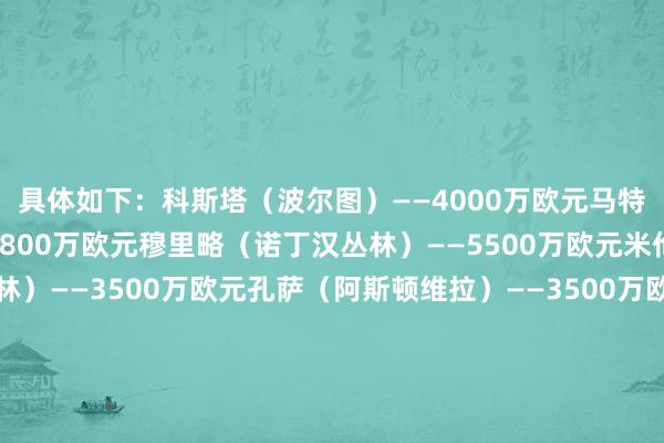 具体如下：科斯塔（波尔图）——4000万欧元马特森（阿斯顿维拉）——2800万欧元穆里略（诺丁汉丛林）——5500万欧元米伦科维奇（诺丁汉丛林）——3500万欧元孔萨（阿斯顿维拉）——3500万欧元奥纳纳（阿斯顿维拉）——5000万欧元斯蒂勒（斯图加特）——4500万欧元吉布斯-怀特（诺丁汉丛林）——5000万欧元罗杰斯（阿斯顿维拉）——5500万欧元阿格霍瓦（波尔图）——5000万欧元莫拉（波尔