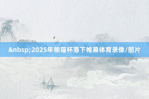 &nbsp;　　2025年熊猫杯落下帷幕体育录像/图片
