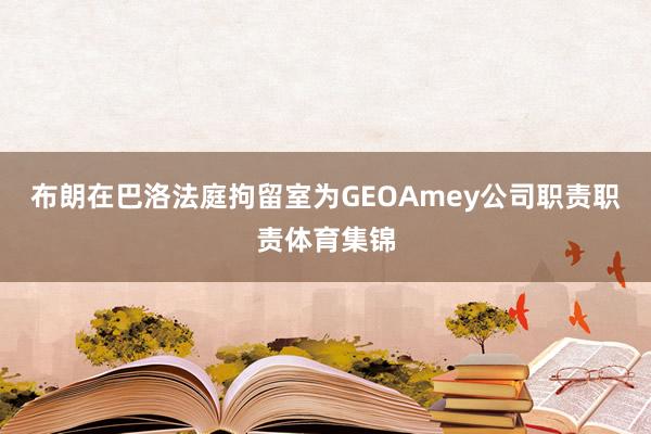 布朗在巴洛法庭拘留室为GEOAmey公司职责职责体育集锦