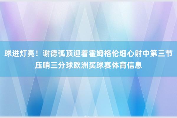 球进灯亮！谢德弧顶迎着霍姆格伦细心射中第三节压哨三分球欧洲买球赛体育信息