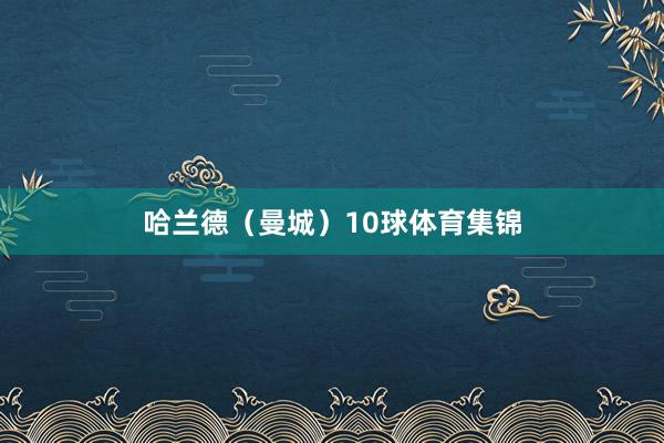 哈兰德（曼城）10球体育集锦